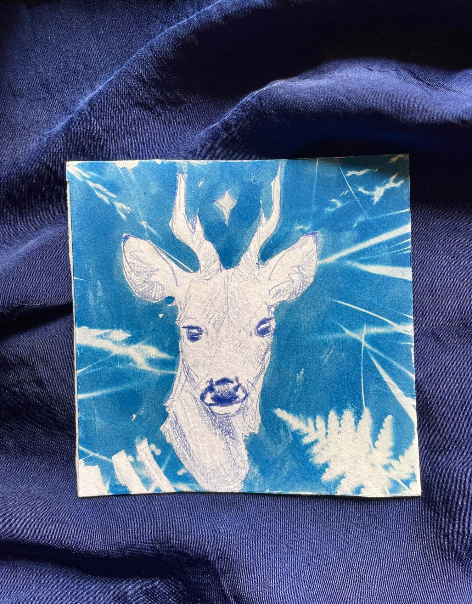 cyanotype print of a roe deer, blue surrounded by ferns and grass