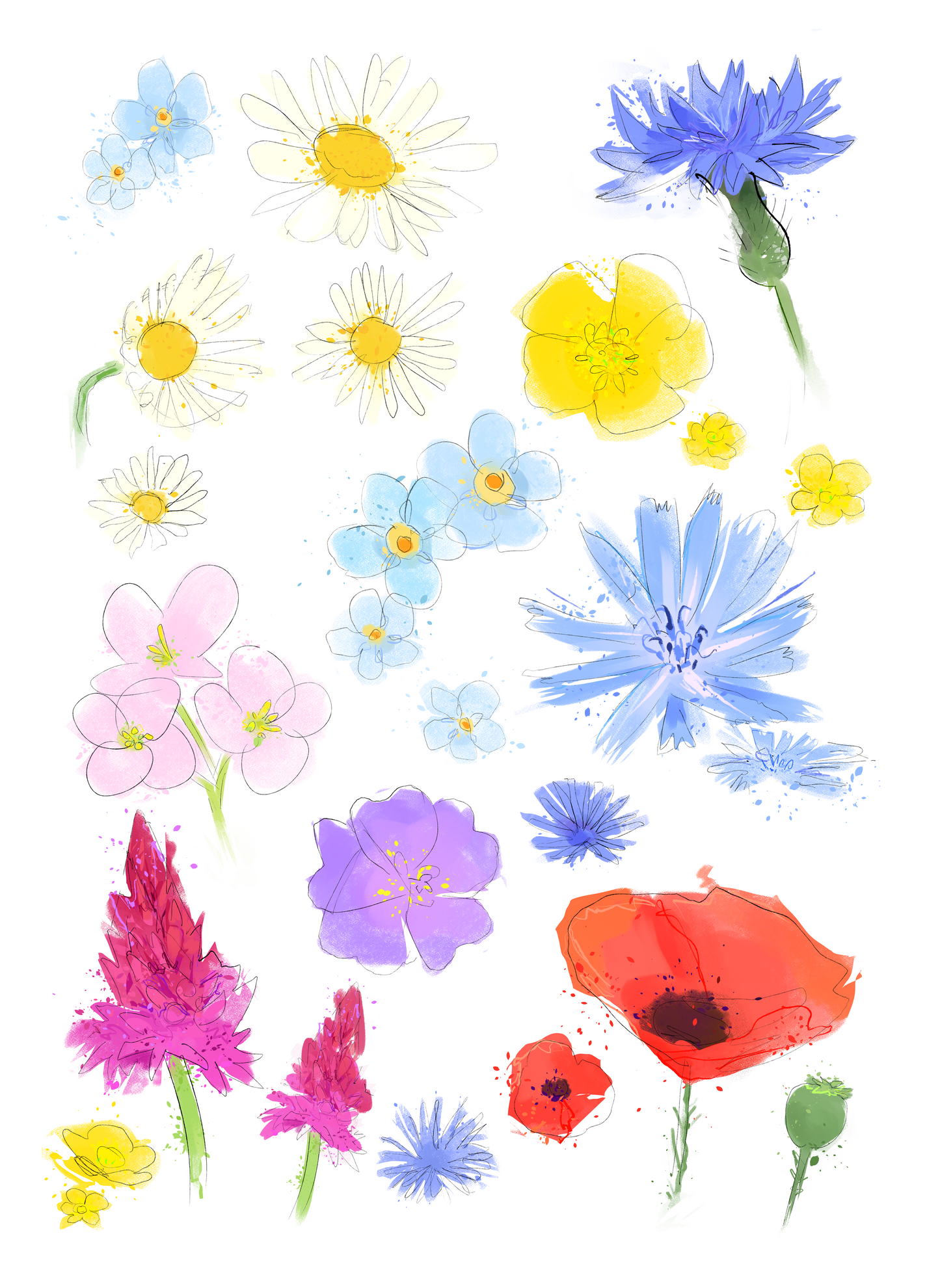 PREORDER Wildflower sticker sheet!